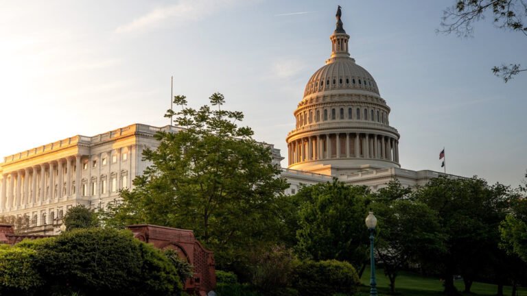 How Does the Electoral College Actually Work?