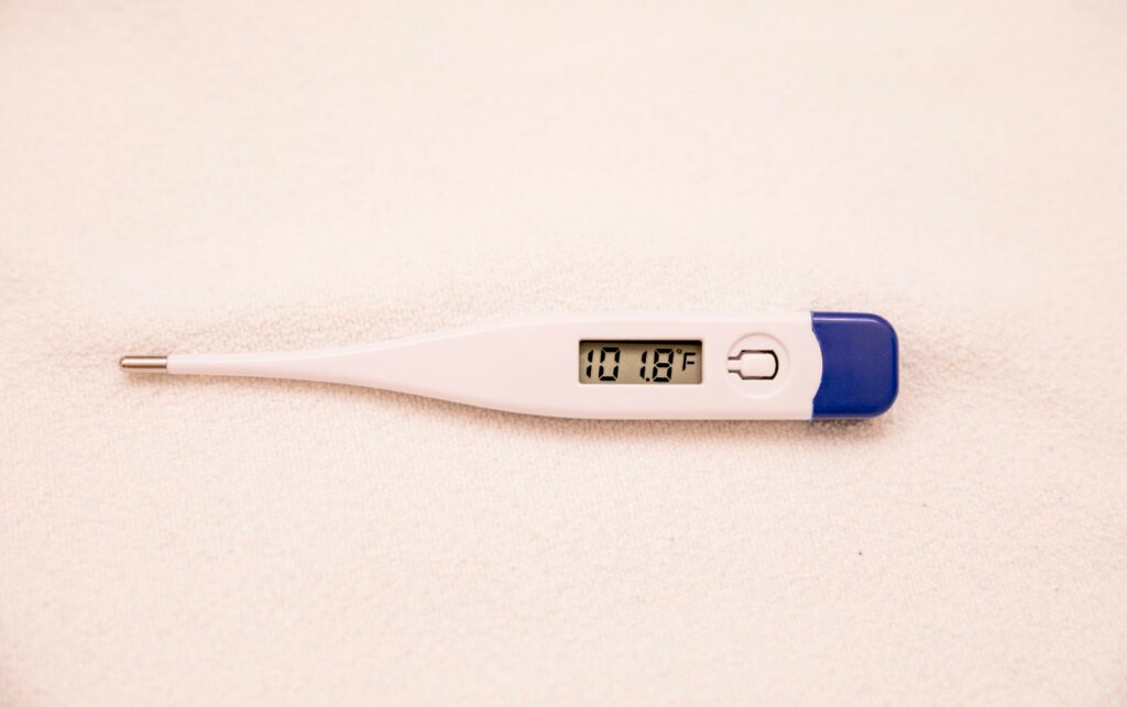 A digital thermometer showing a fever reading, illustrating a key difference between a cold and the flu