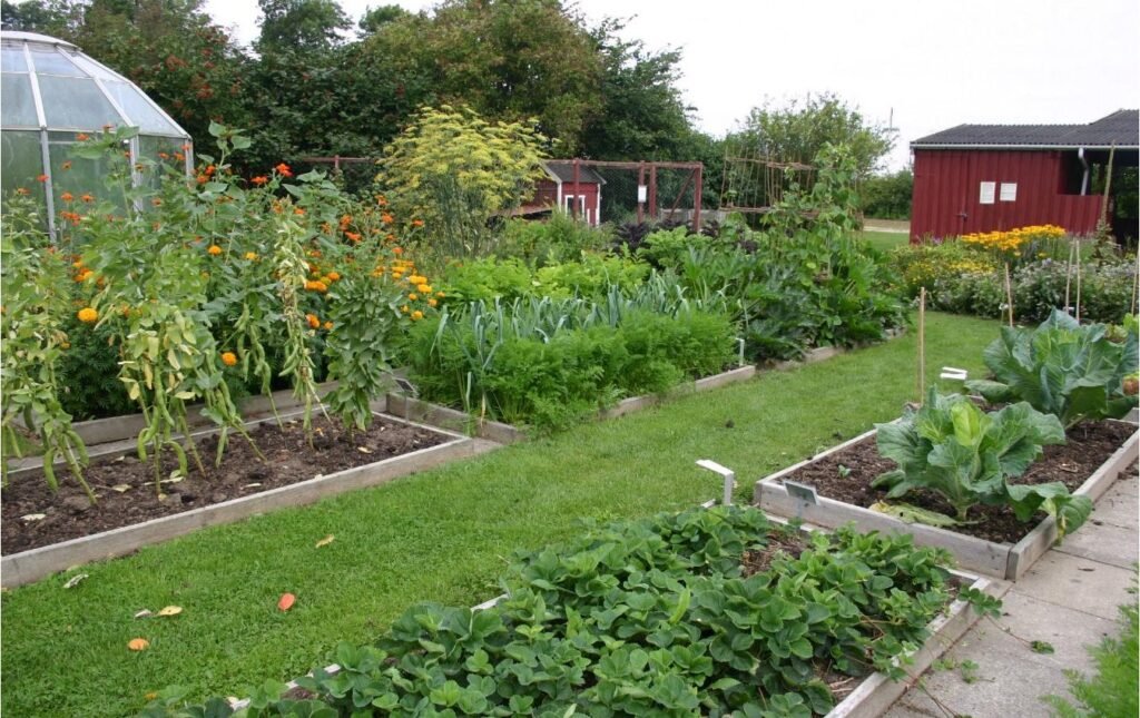 Farm field planted in rotation, with a different crop following the one grown the season before