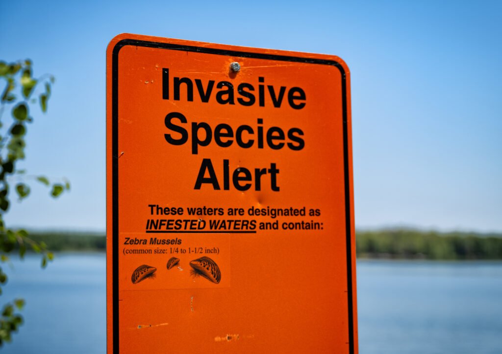 A roadside sign warning that a lake is infested with zebra mussels, an invasive species in Minnesota