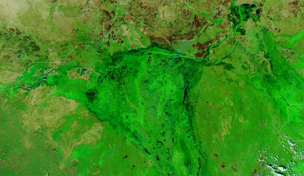 The Sudd wetlands on the White Nile, South Sudan, seen from satellite